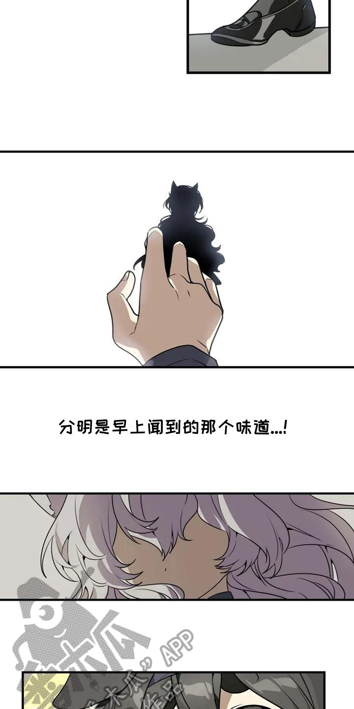 第5话5