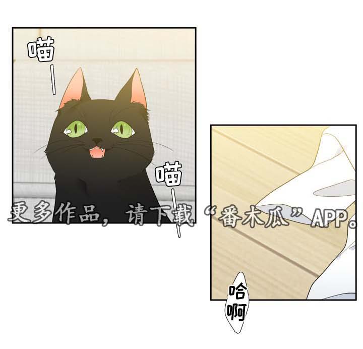 第63话17