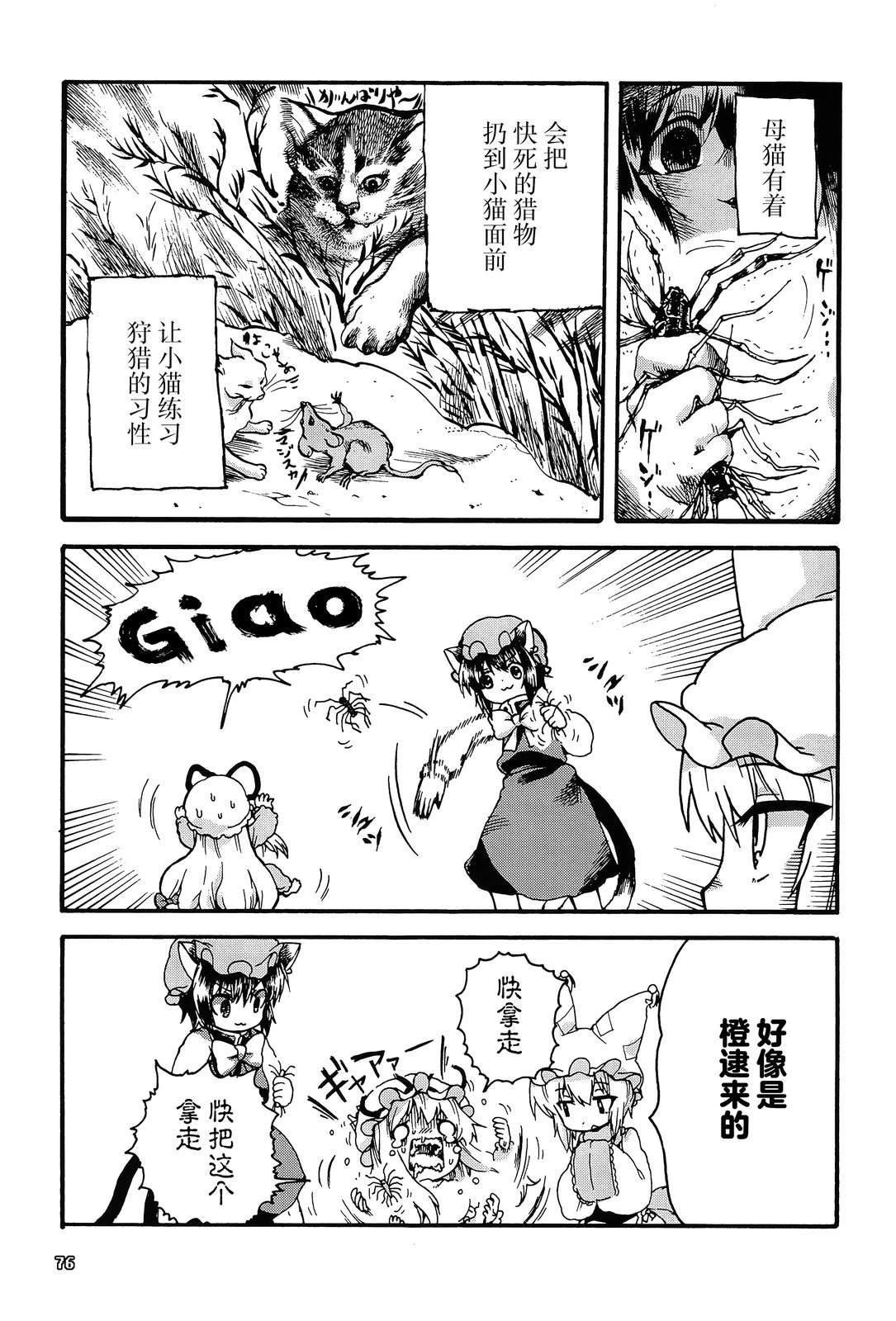 小小紫22