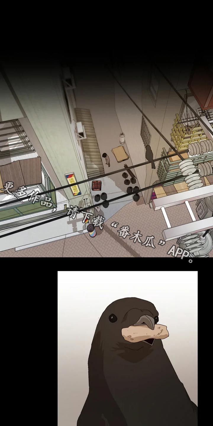 第48话0