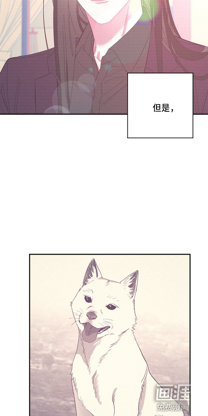 第90话11