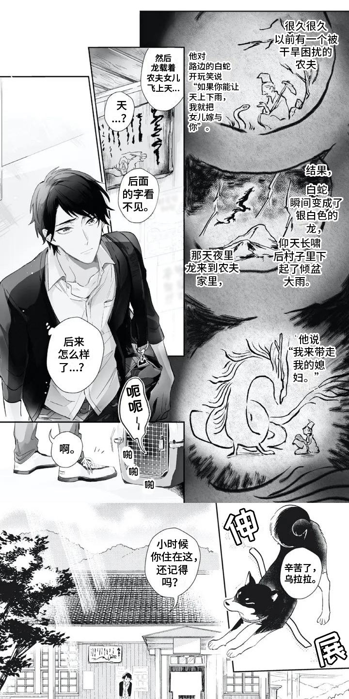 第52话0