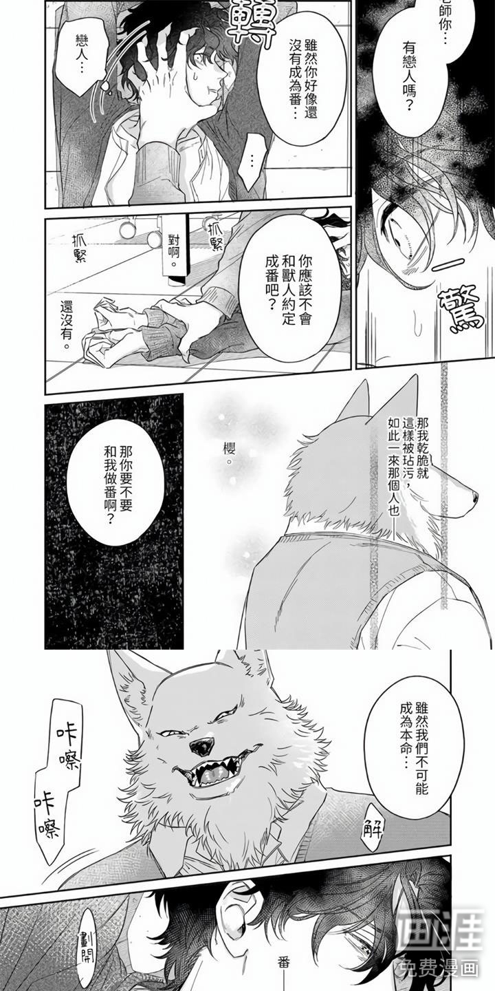 第11话5