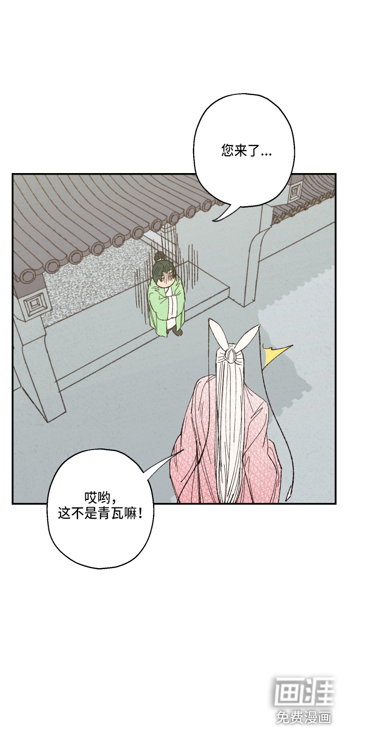 第135话11
