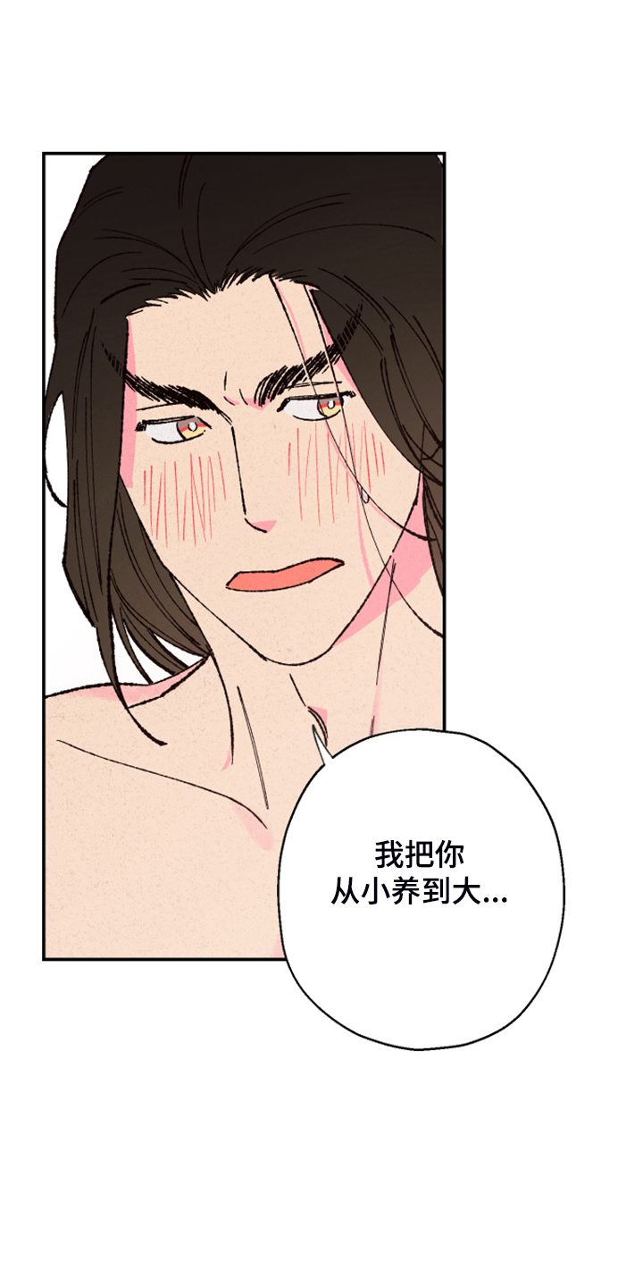 第117话19