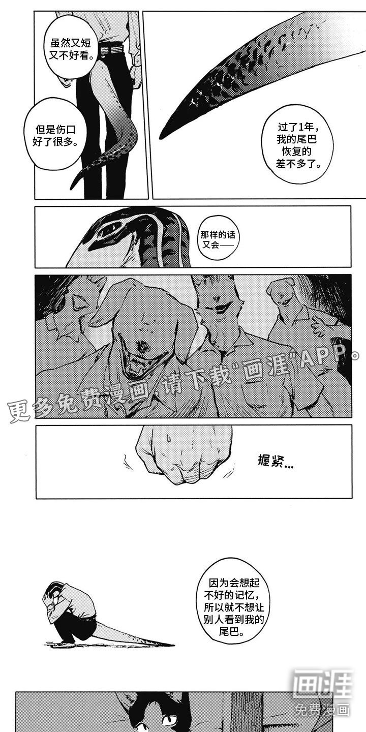 第31话0