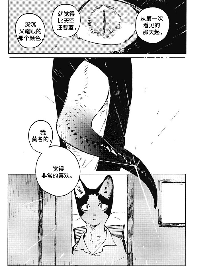 第31话5