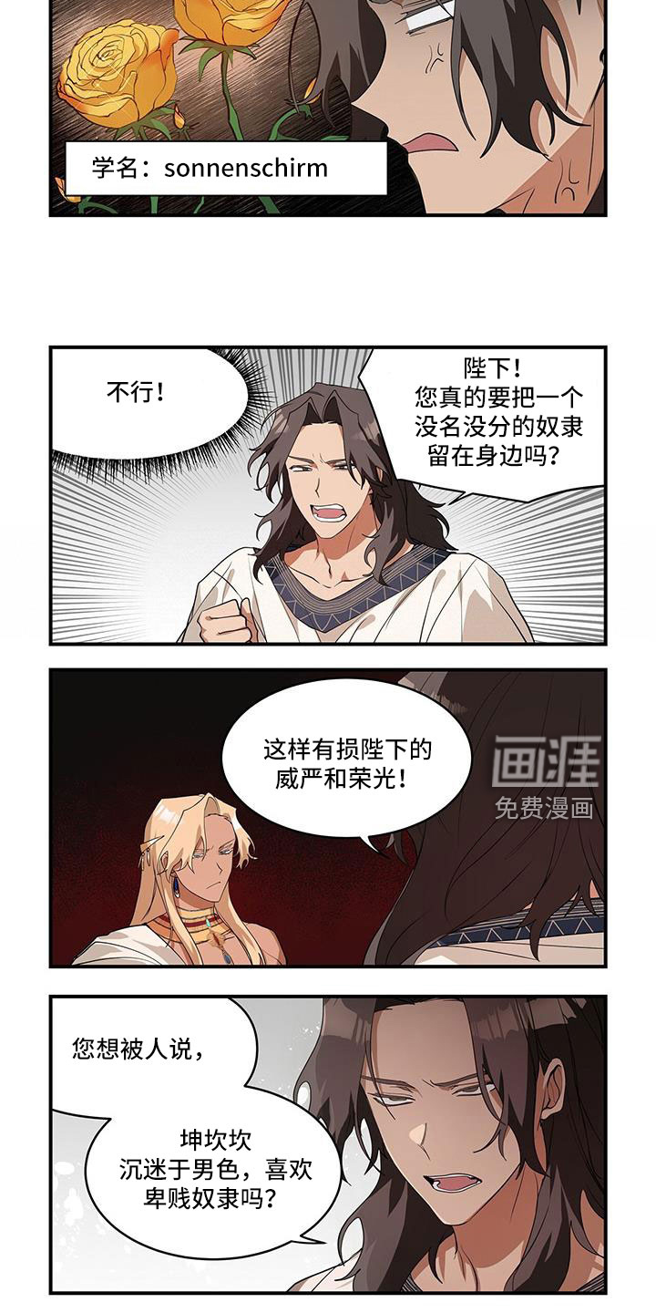 第31话3