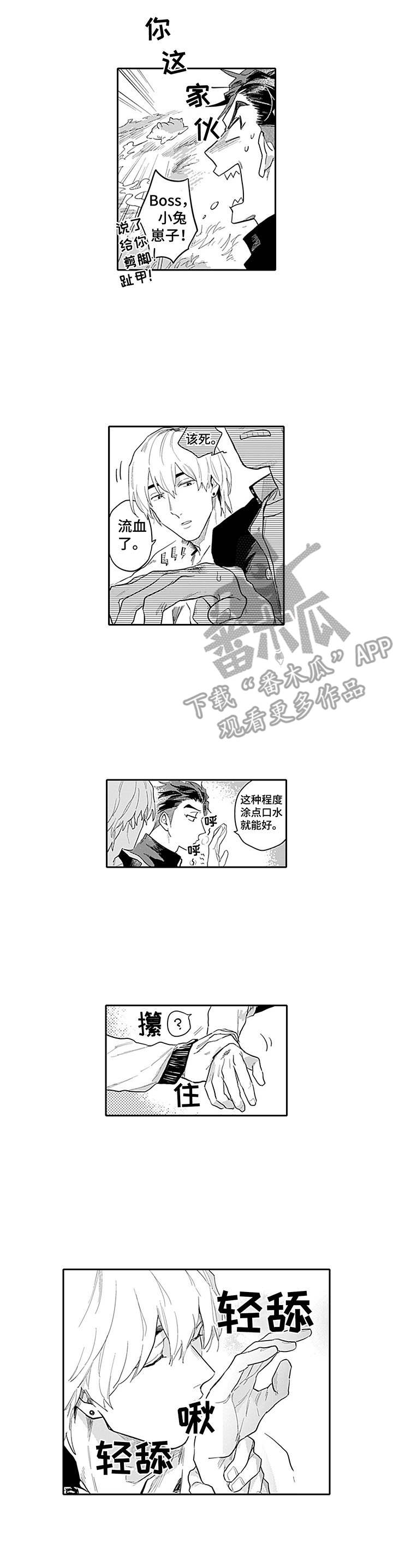 第5话8
