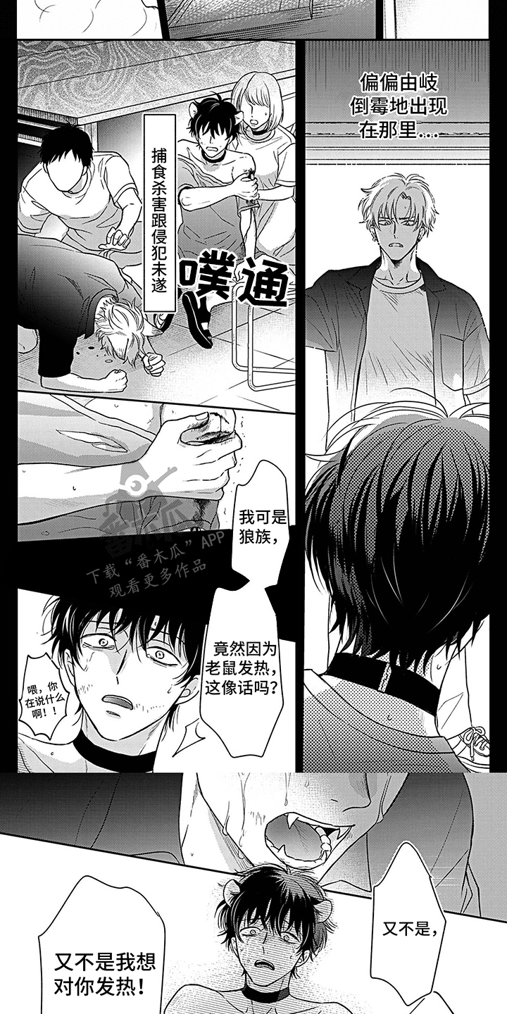第17话5