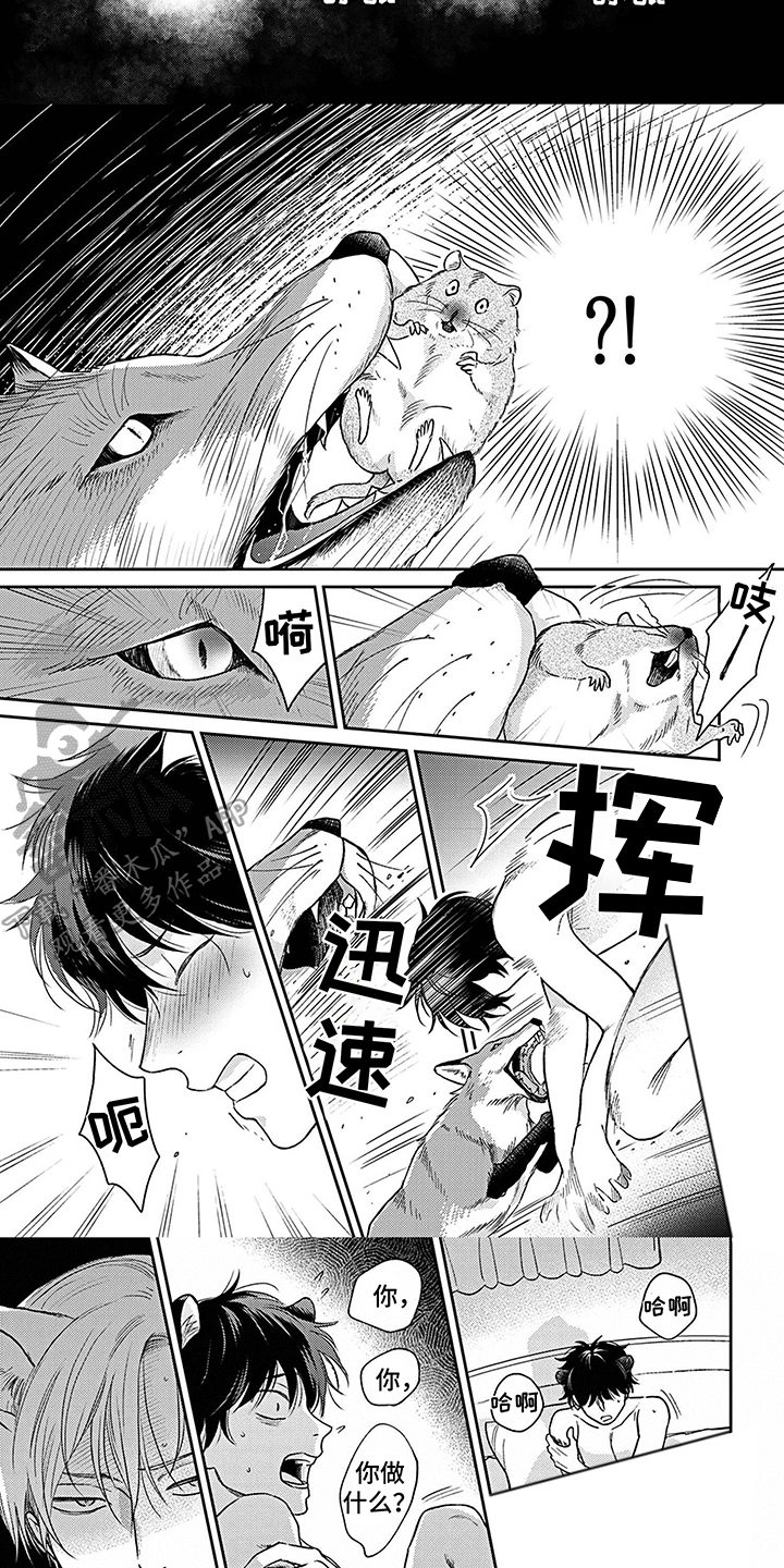 第13话5