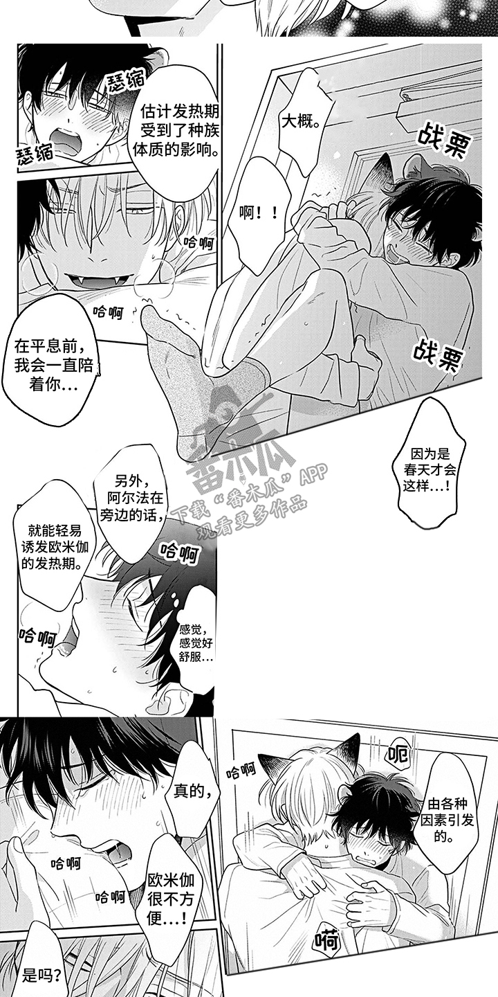 第5话5