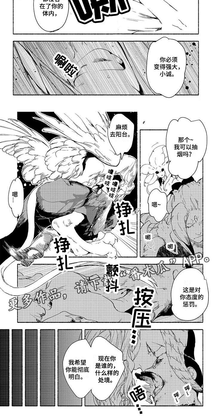 第36话17