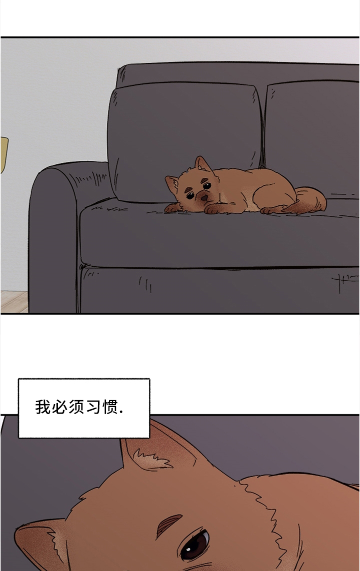 第44话6
