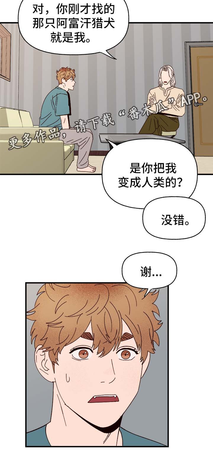 第30话1