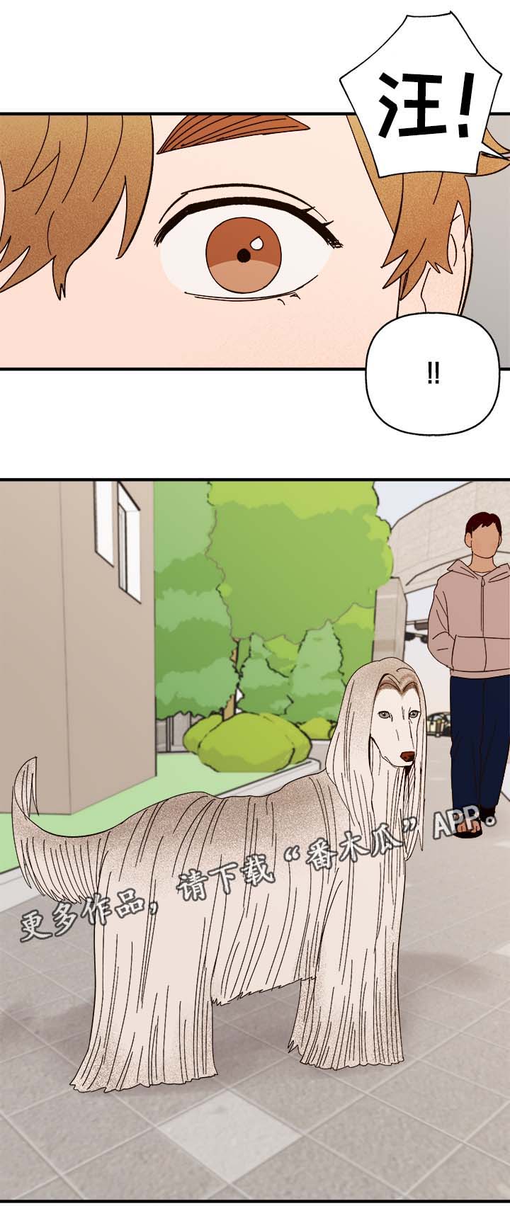 第29话5