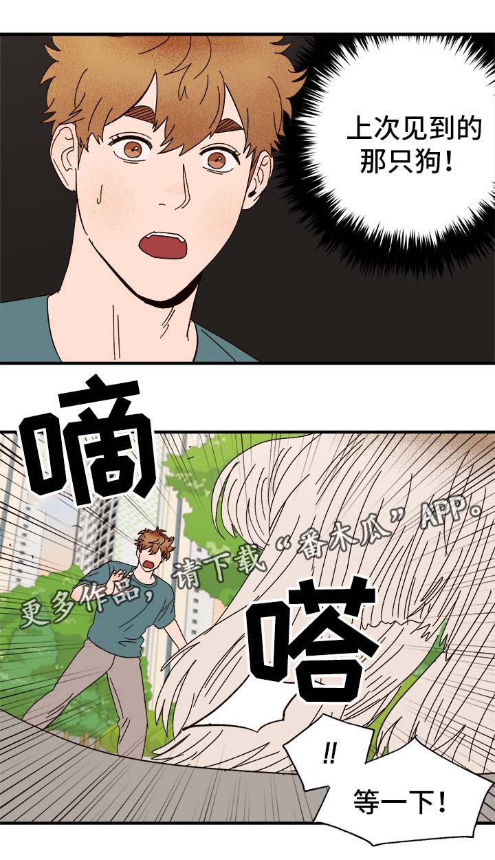第29话6