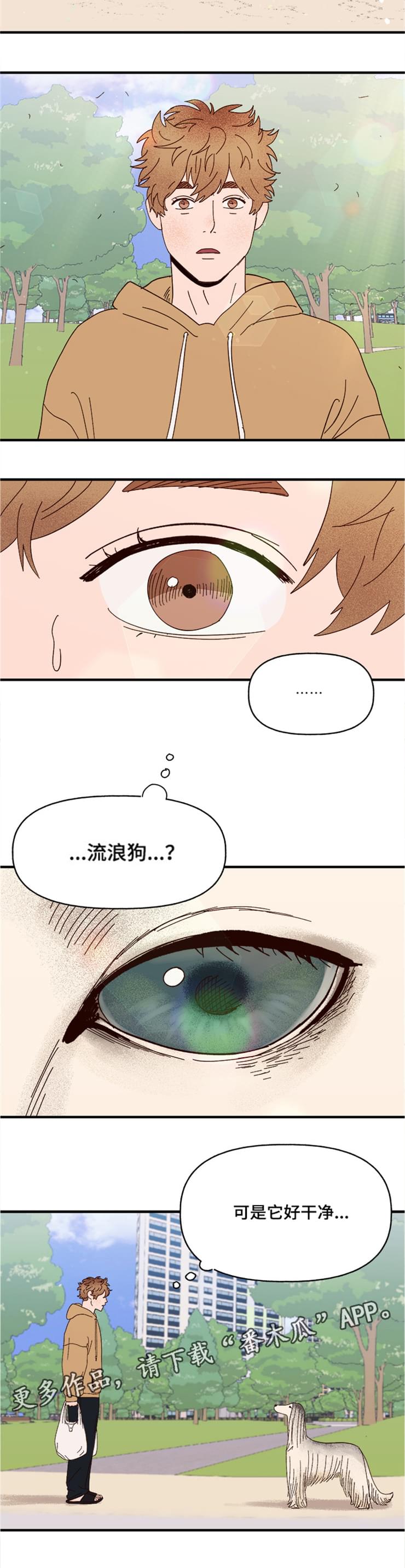 第17话5