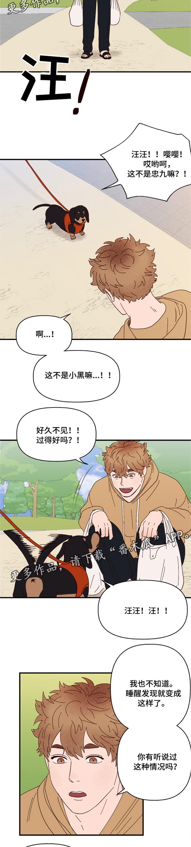 第17话8
