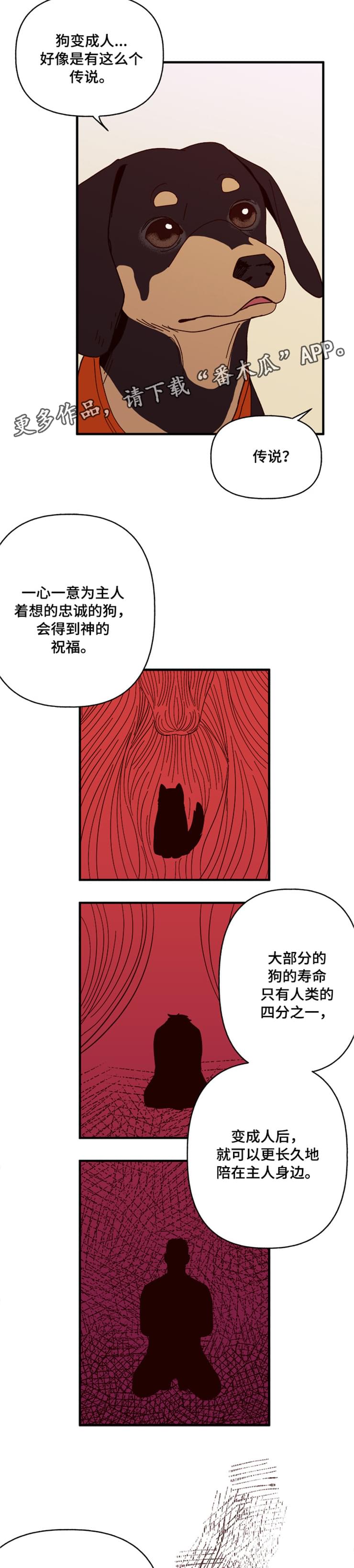 第17话9