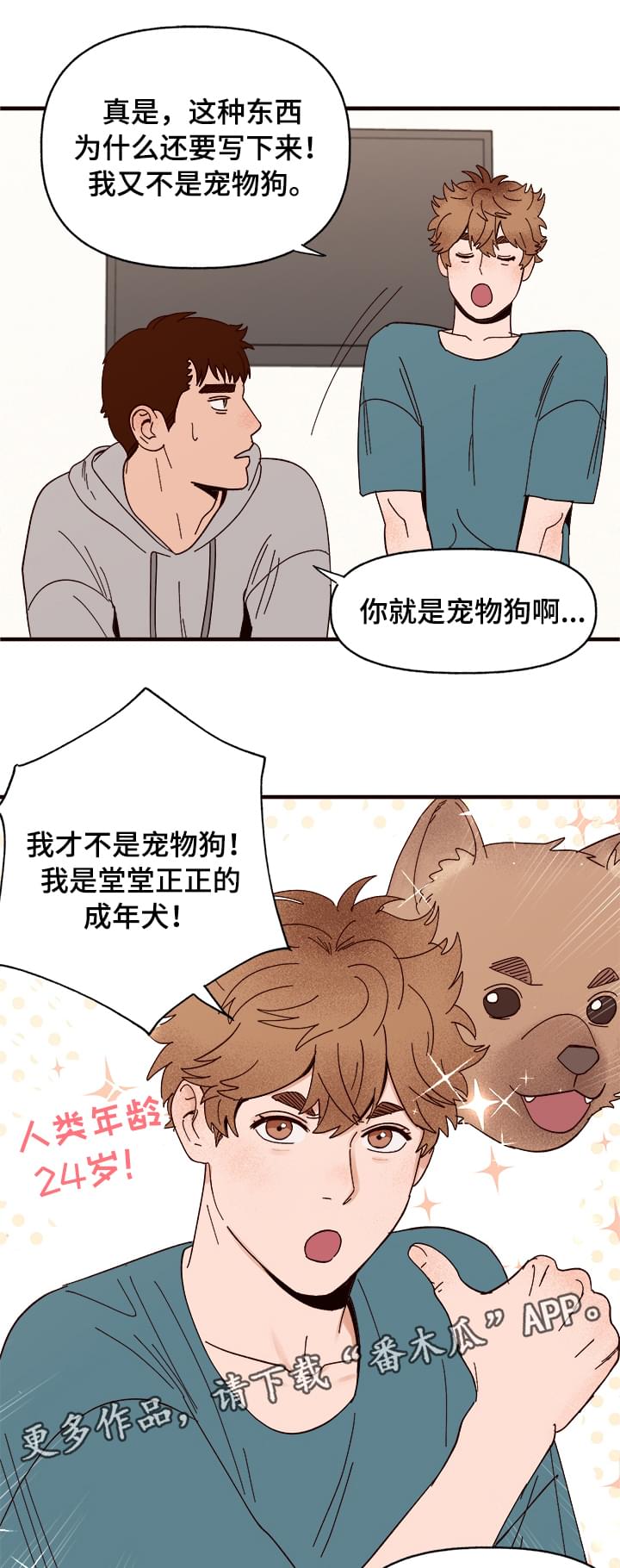 第11话10
