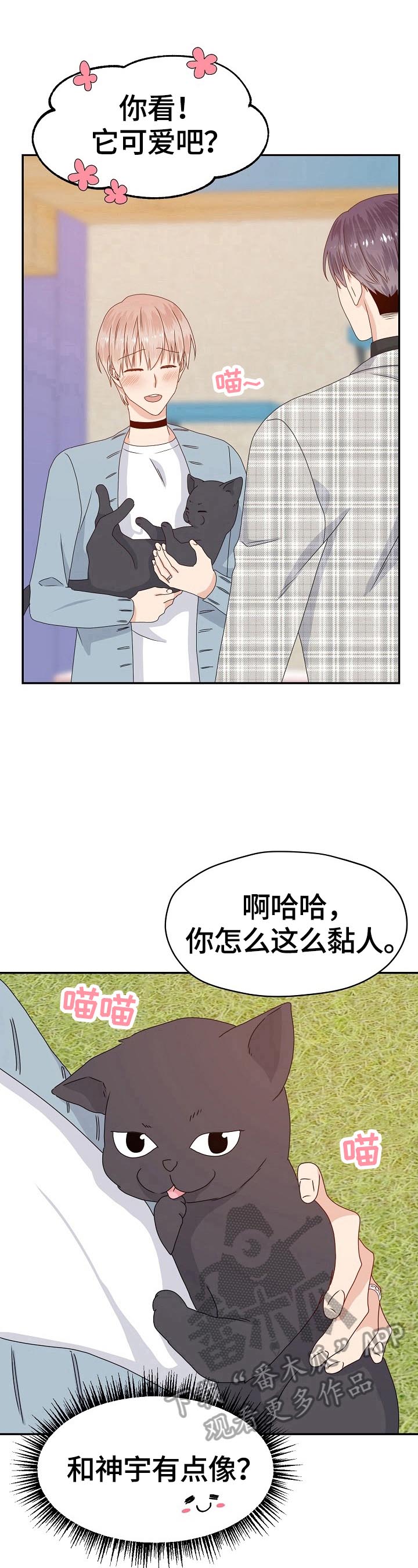 第51话7