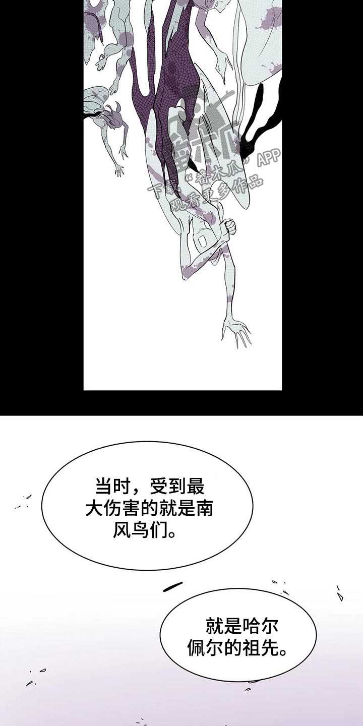 第51话5