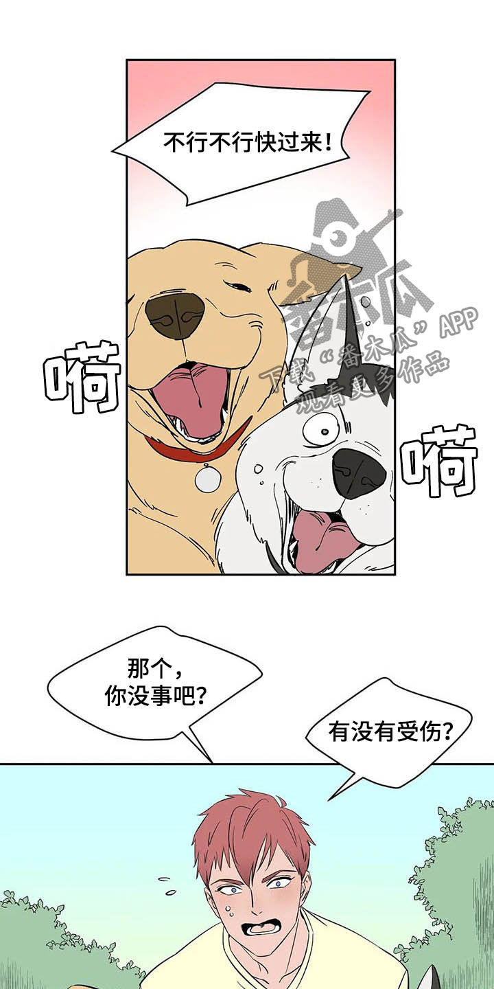 第20话8