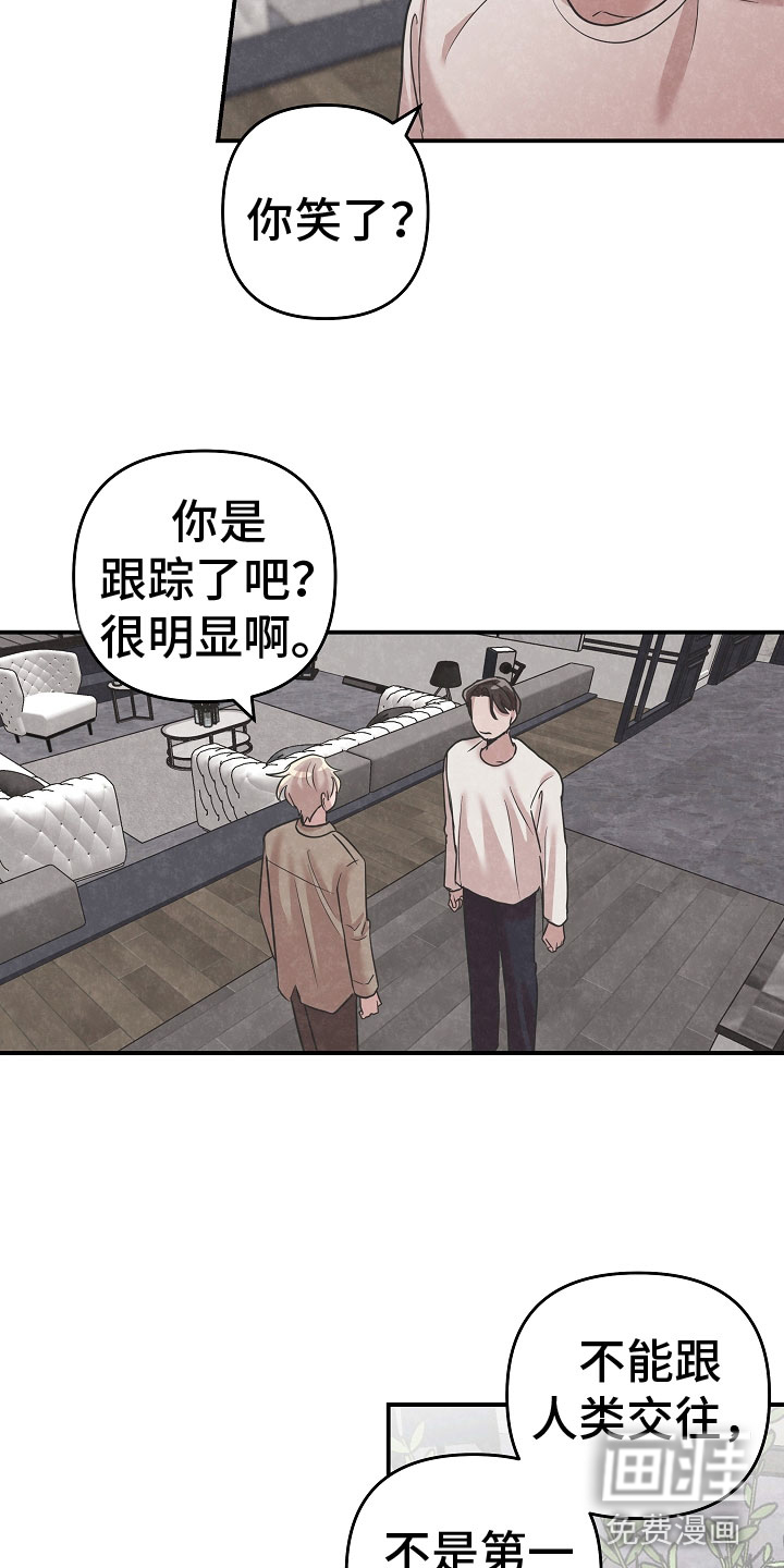 第41话13