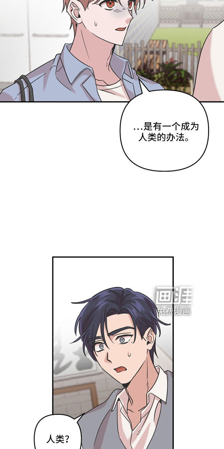 第36话5