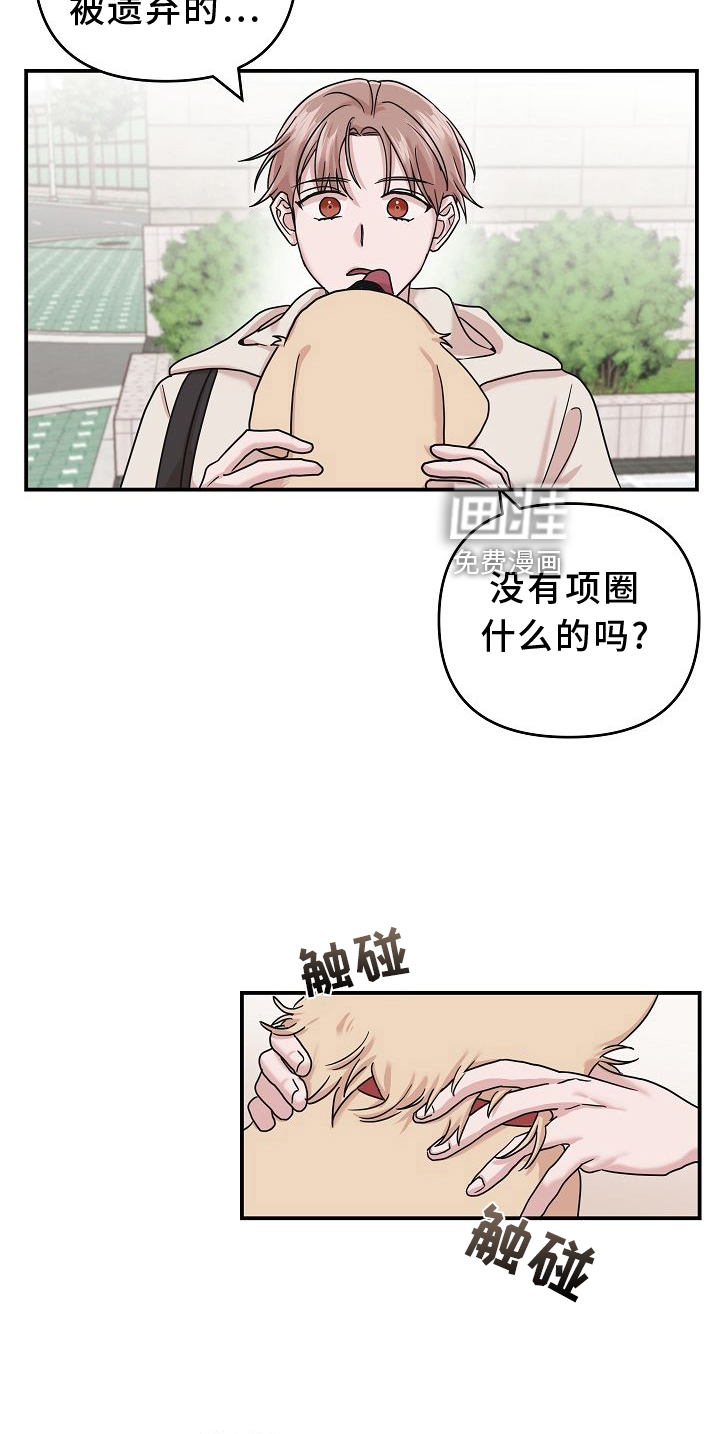 第15话11