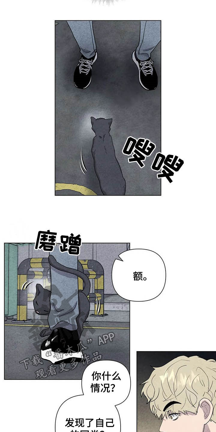 第17话16