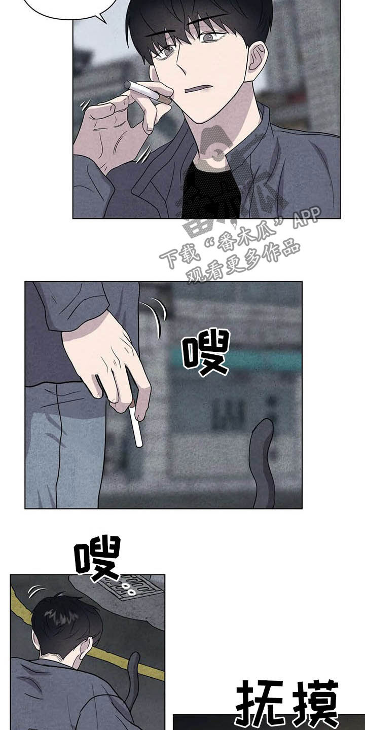 第17话18