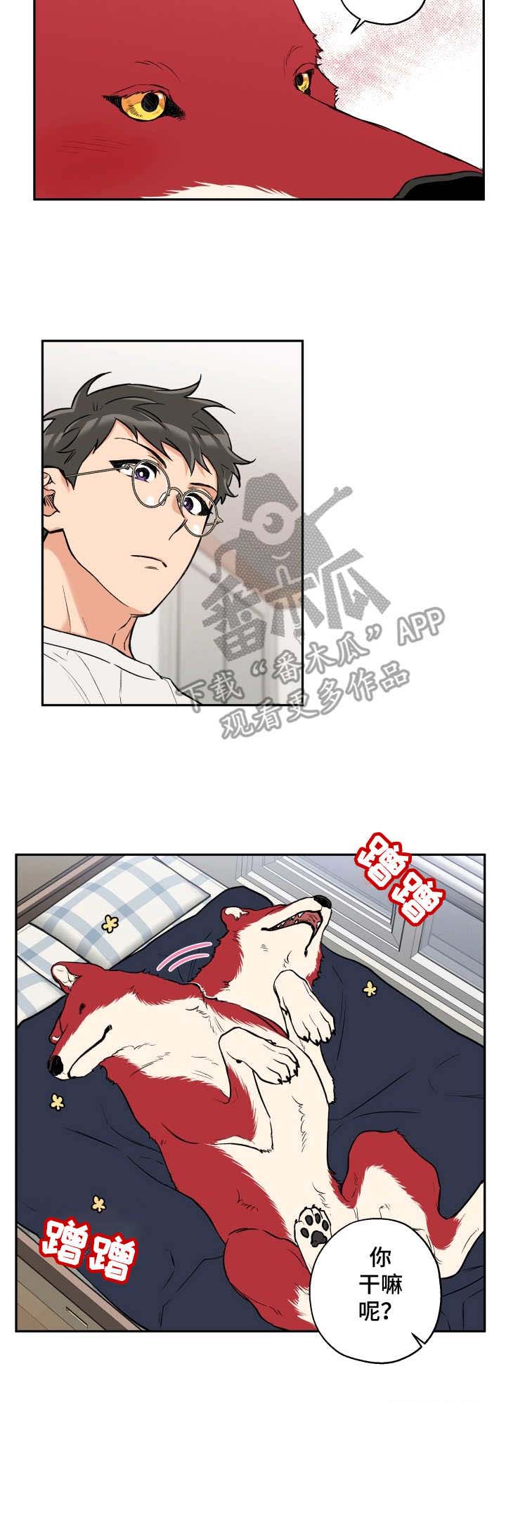 第67话17