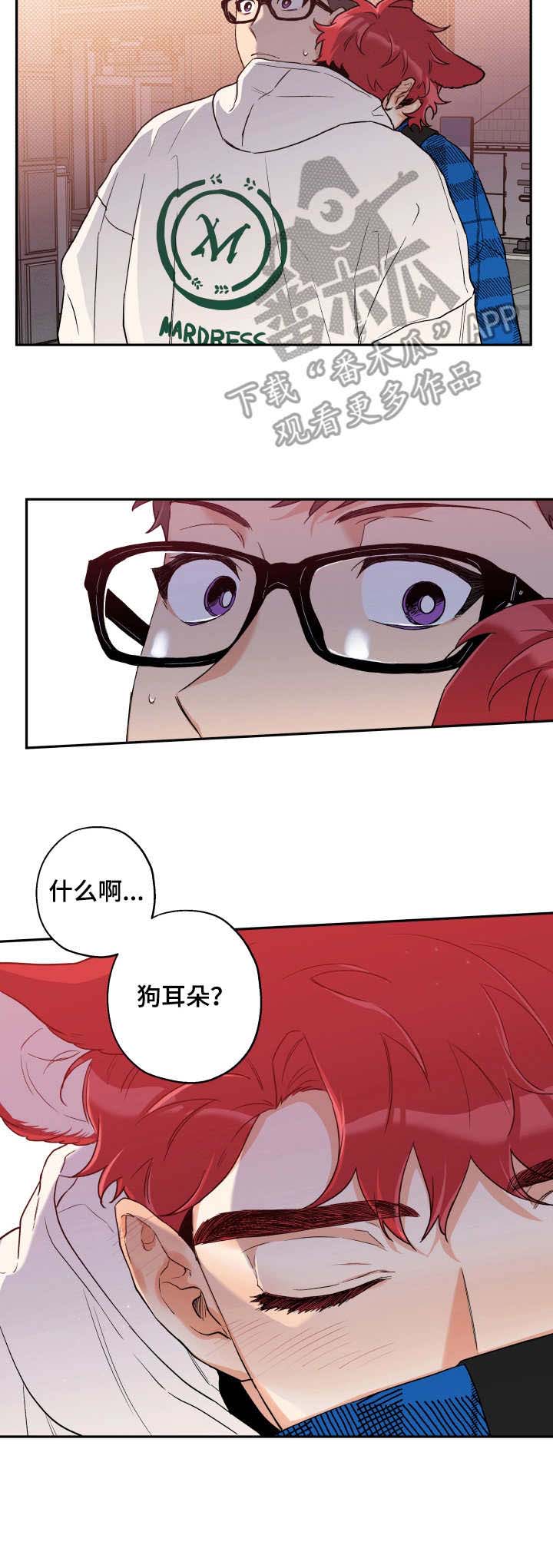 第11话9