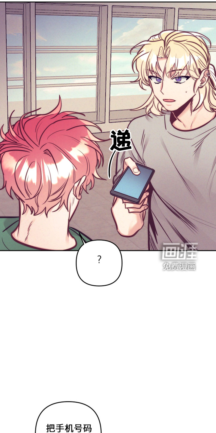 第117话11