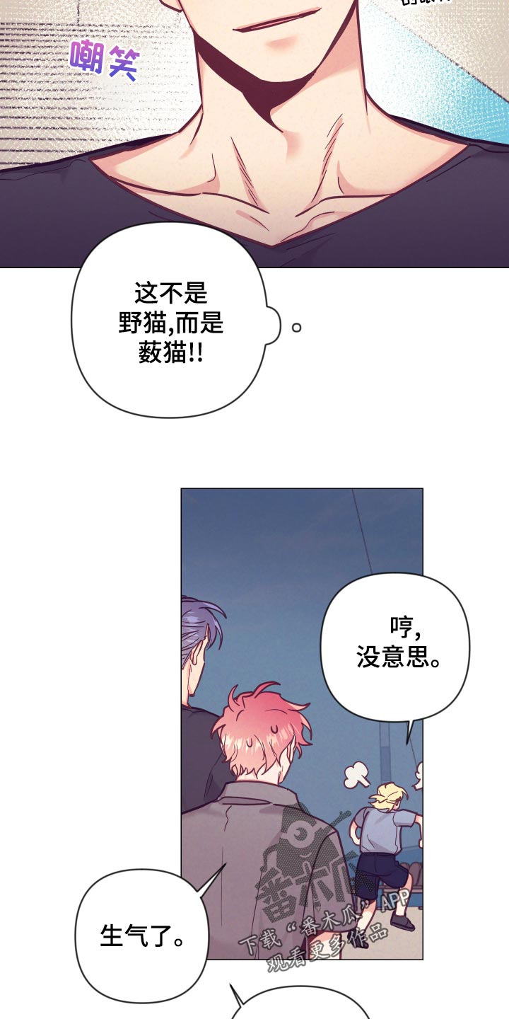 第100话19