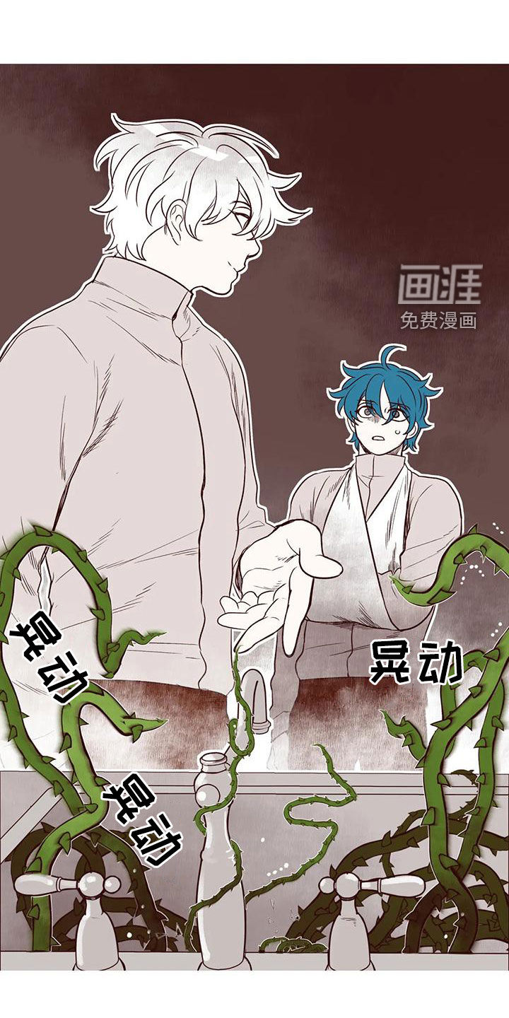 第51话11