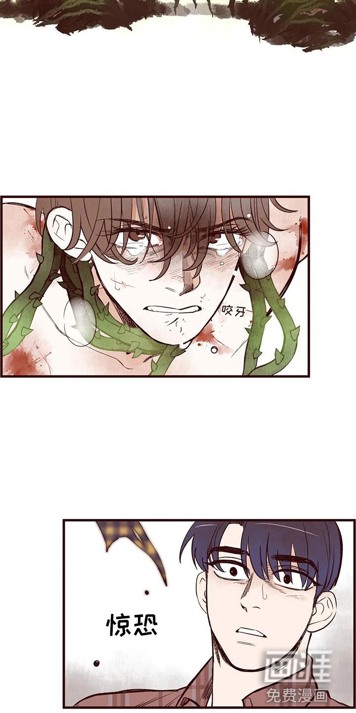 第16话8
