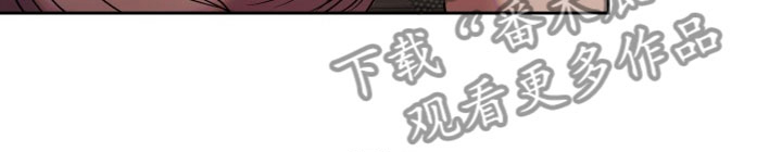第11话15