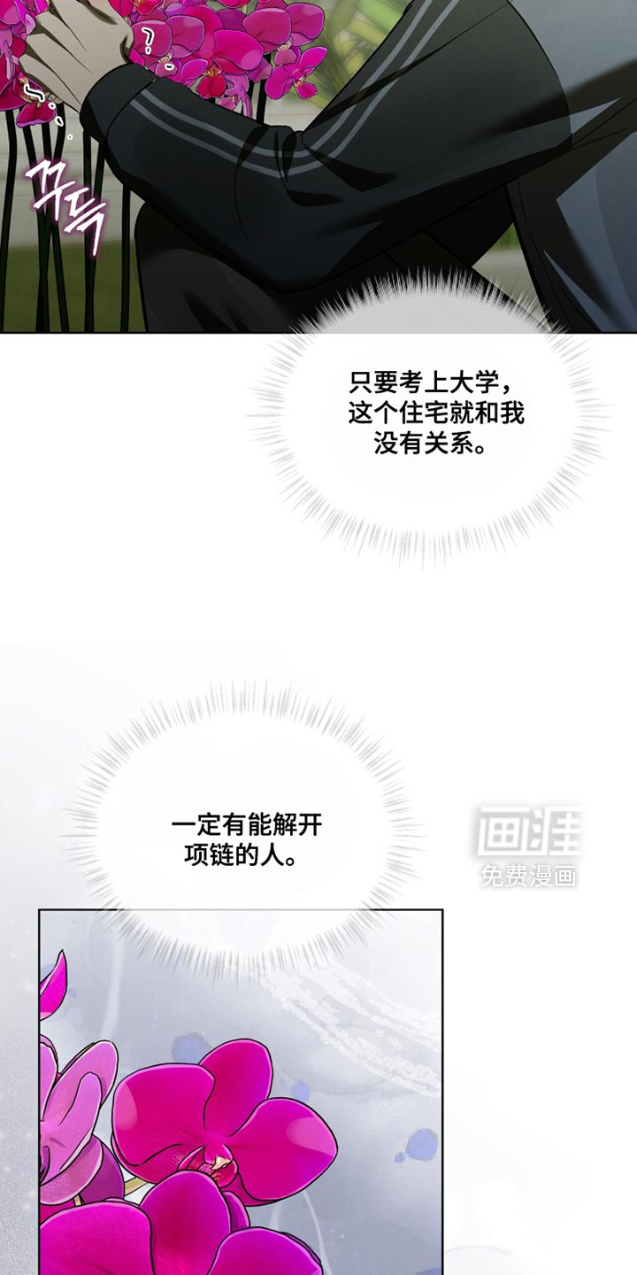 第51话7