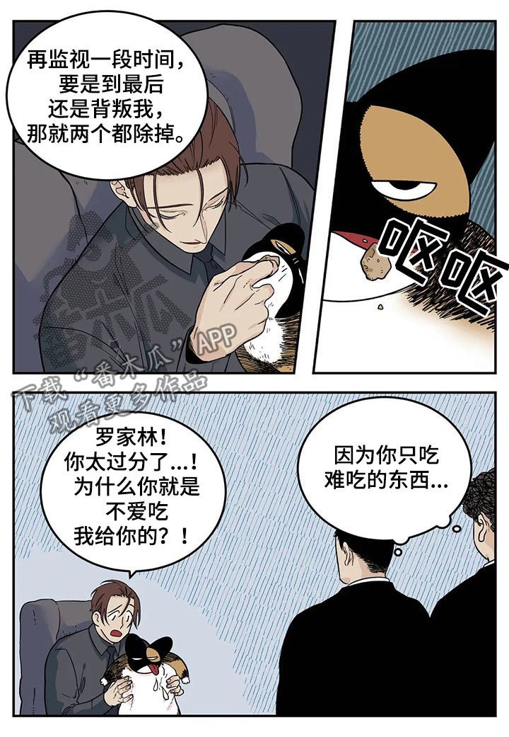 第37话5