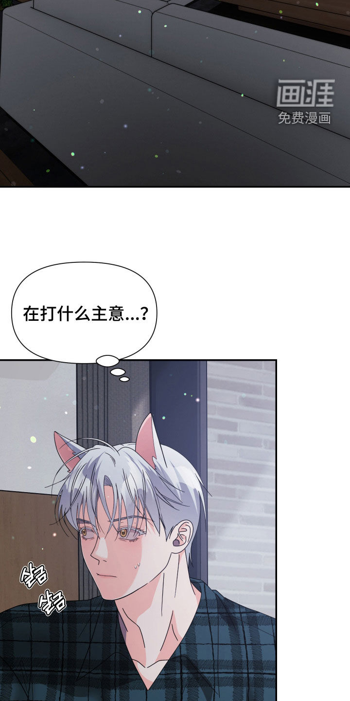 第75话11