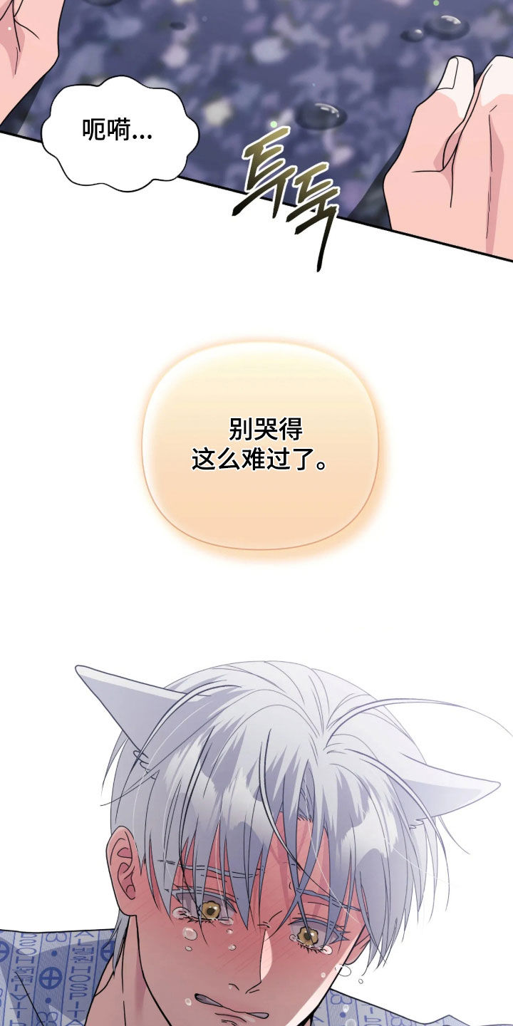 第113话34