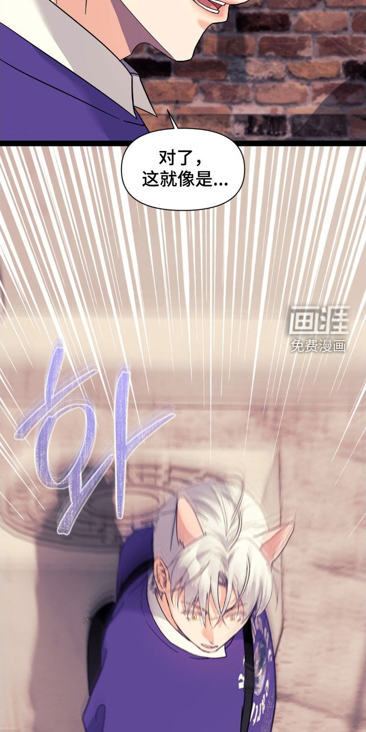 第39话5