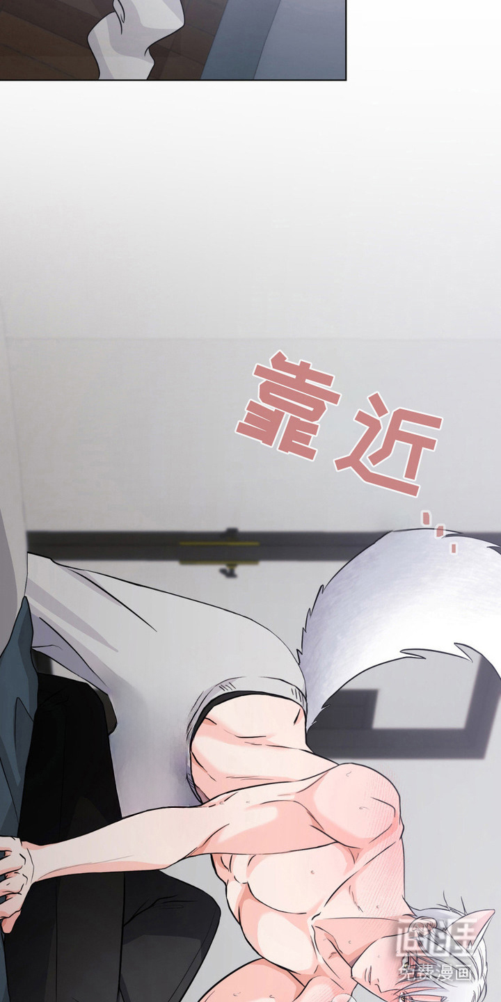 第11话13