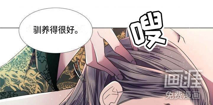 第11话11