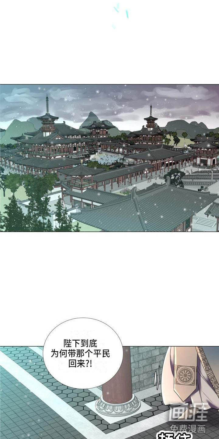 第5话5