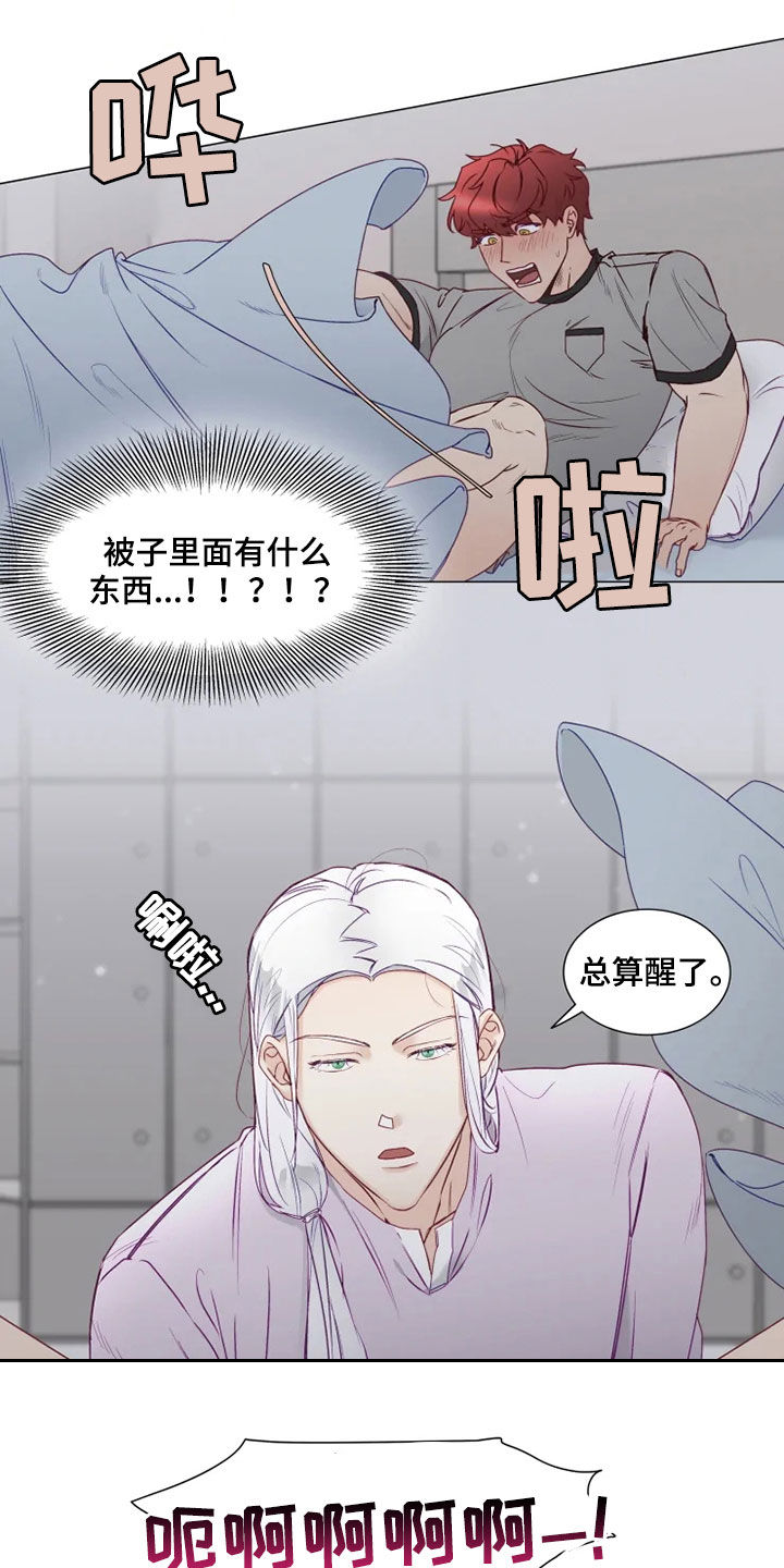 第17话8