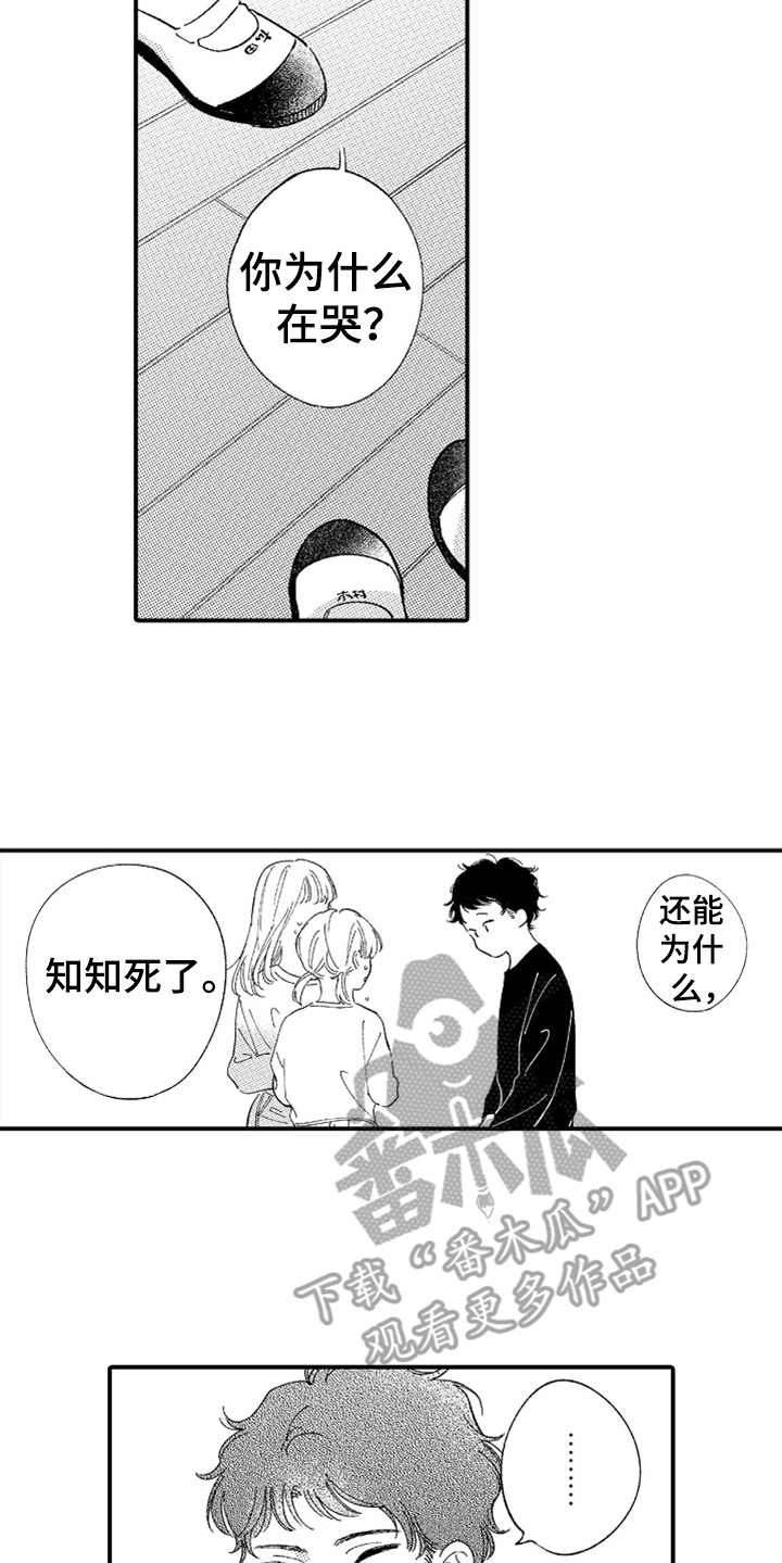 第13话5